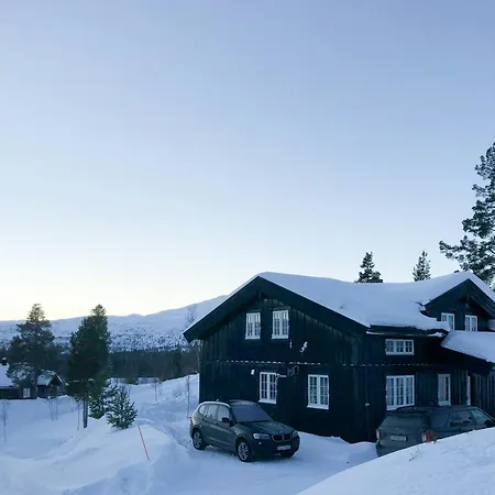 Designer With Panoramic Views In Hovden